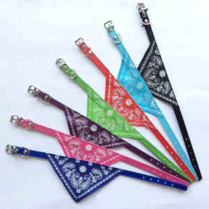 Collar Con Bandana 2.5 cm