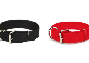 COLLAR PARA PERRO MACHO 1 3/4 COLORES VARIOS