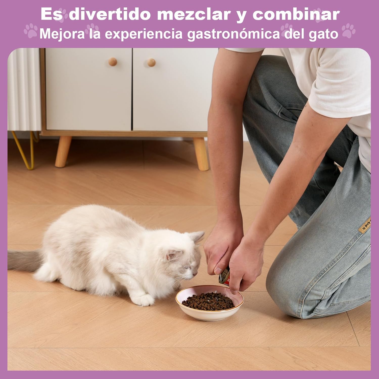 Comedero para gatos de cerámica con diseño en espiral, set de 6 colores - Imagen 6