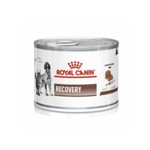 Comida humeda Royal Canin Recovery