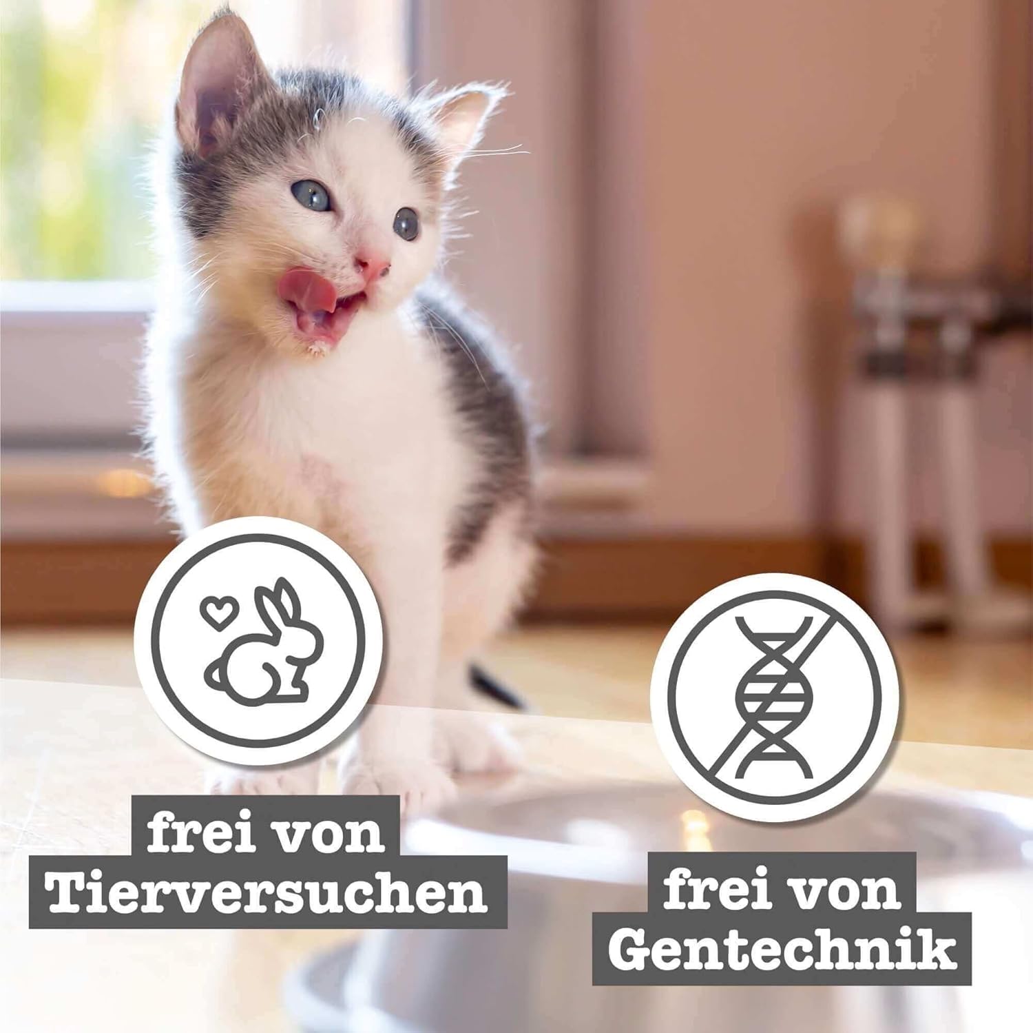 Comida húmeda sin cereales gatos Catz Finefood Kitten multipack 6x85g - Imagen 6