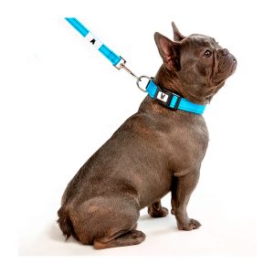 Correa Nylon Hilo Reflectivo Para Perro