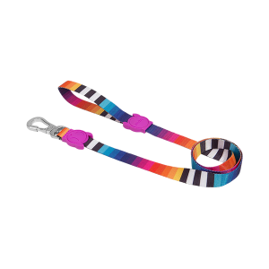 Correa Para Perro Prisma