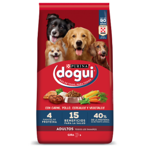 DOGUI ADULTOS 21kg