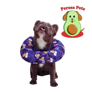 Donas Isabelinas – Perros Y Gatos