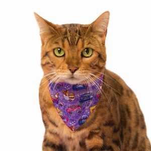 Pañoleta Diseños varios para Gatos – Mini