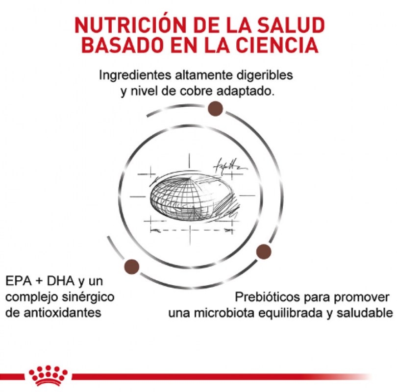 ROYAL CAT HEPATIC 1,5 KG - Imagen 3