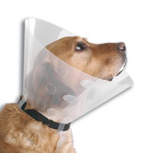 collar isabelino nº 3