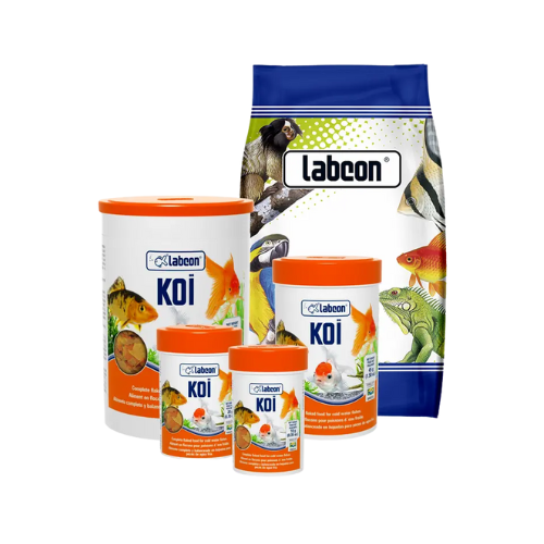 Alimento escamas peces agua fría. Labcon Koi 45g