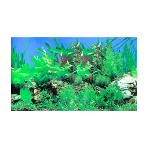 Lámina de fondo para acuarios 30cm alto. Doble faz 1m