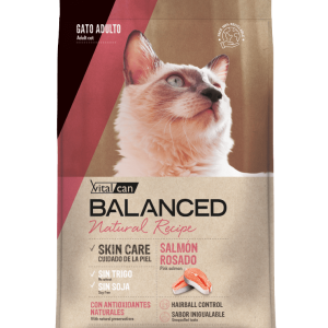 VITALCAN Balanced gato natural recipe Salmon x 15 kgs