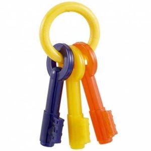 NYLABONE PUPPY CHEW KEY TEETHING