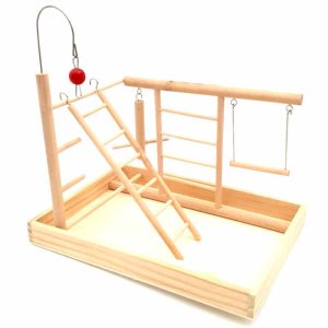 Parque Con Escaleras