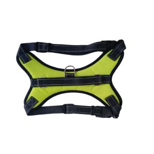 Arnes color verde, talla L