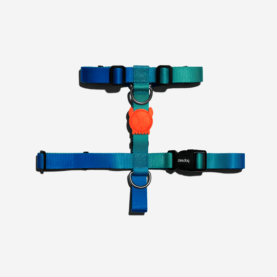 Zee.dog TIDE H Harness XS