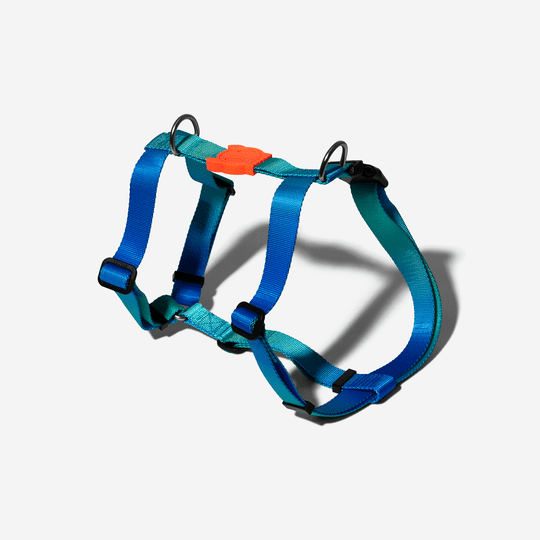 Zee.dog TIDE H Harness XS - Imagen 3