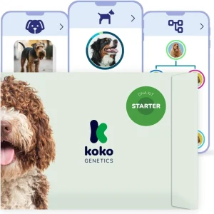 Test de ADN para perros – Starter