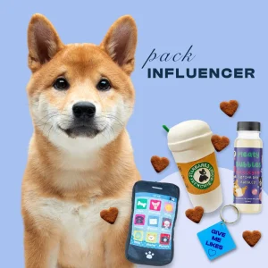 Pack Temático para tu Perro – Influencer