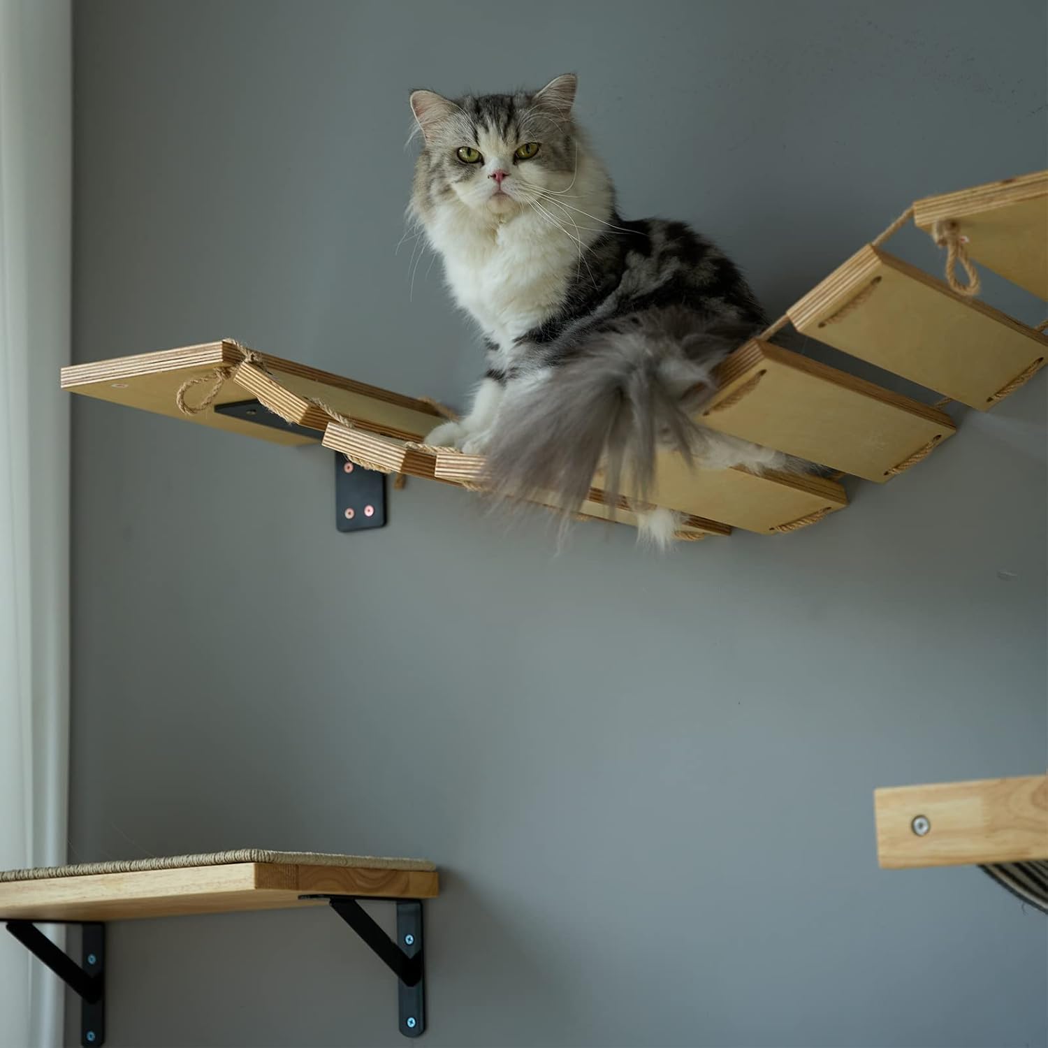 Puente para gatos FUKUMARU montado en pared, estante ancho y escalón - Imagen 5