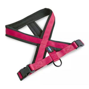 Rascals Arnés Acolchado | XS al XL