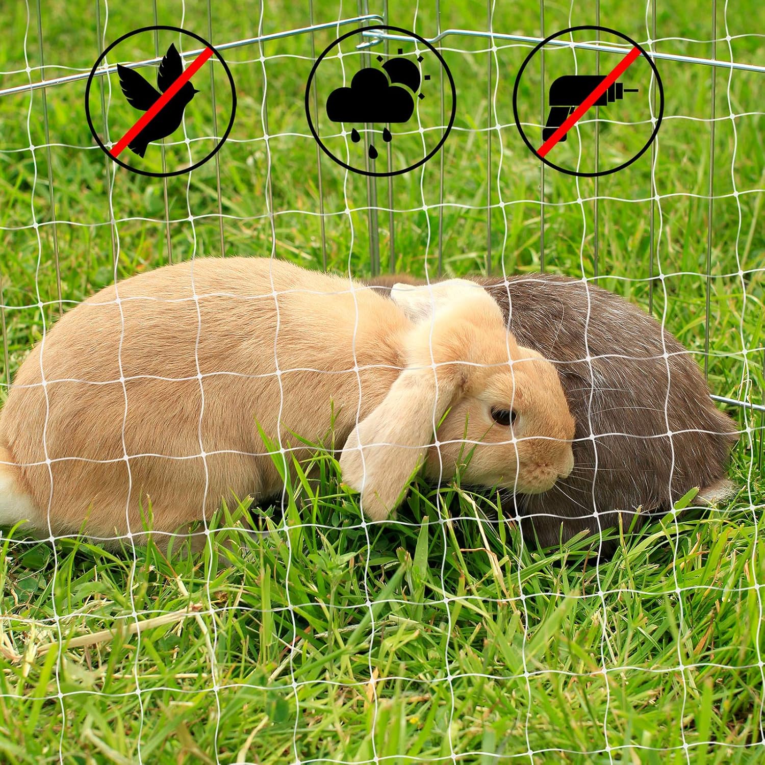 Red de seguridad para gatos lionto para balcón, tamaño 3×4 m - Imagen 4