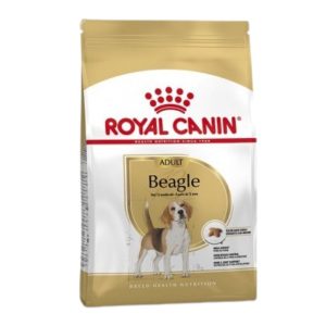 Royal Canin Beagle Adulto 3 kgs