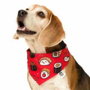 Pañoleta Diseños varios para Perros