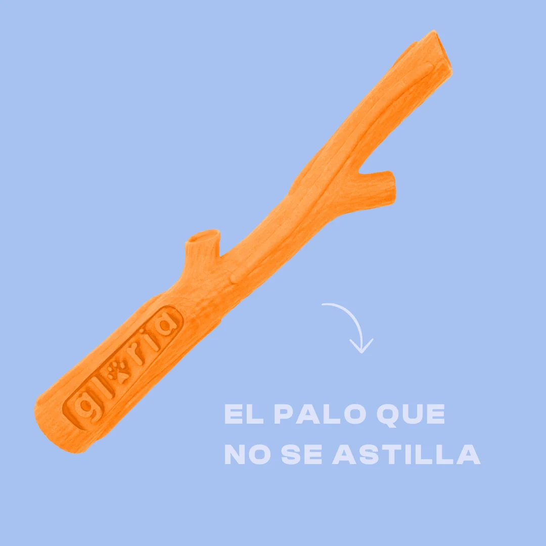 Pack Temático para tu Perro – Verano: diversión y frescor para tu perro - Imagen 3