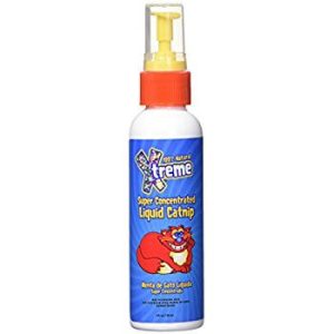 Catnip en spray (4oz).